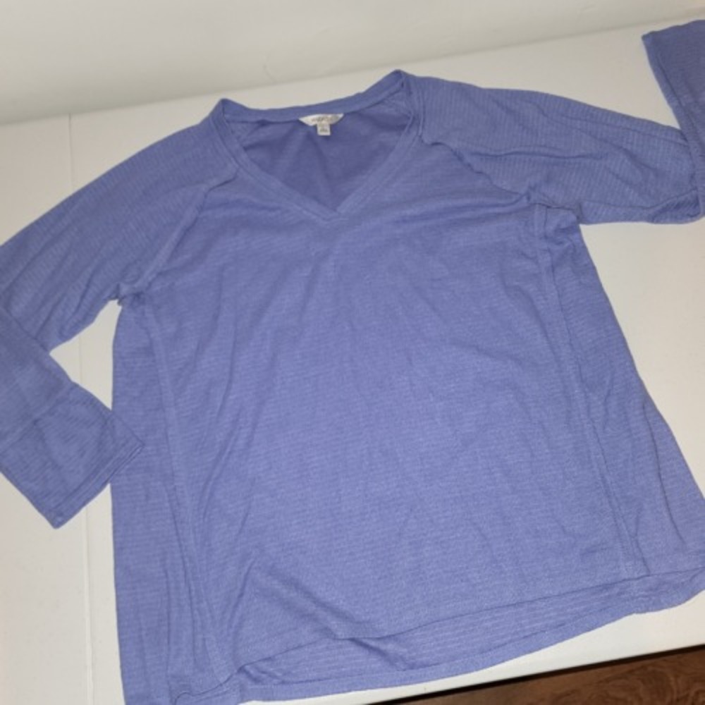 Wildfox‎ Womens Haley V Neck Brusled Long Sleeve Top Large